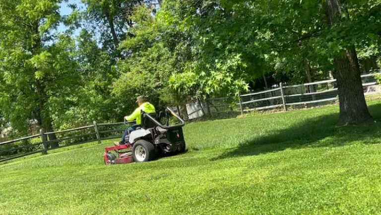 align sights firearms training 1 768x435