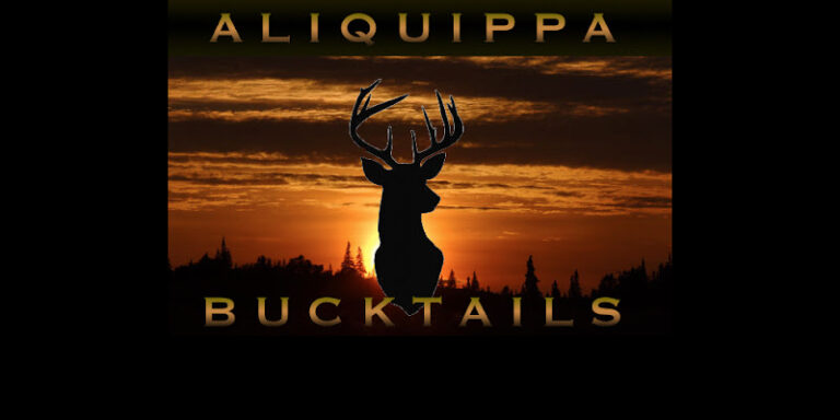 aliquippa bucktails 1 1 768x384