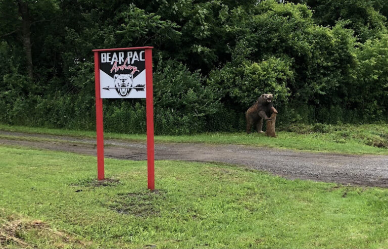 bear pac archery 1 768x493