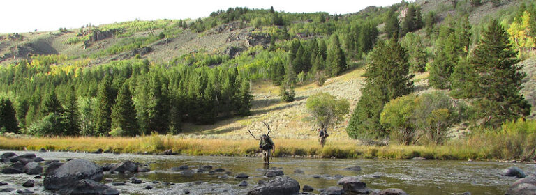 beaver trap outfitters 1 768x280