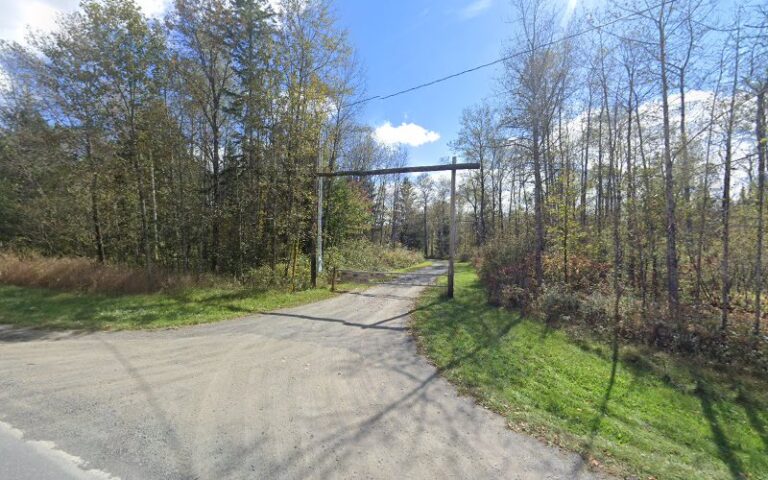 black bear rod and gun club 1 768x480