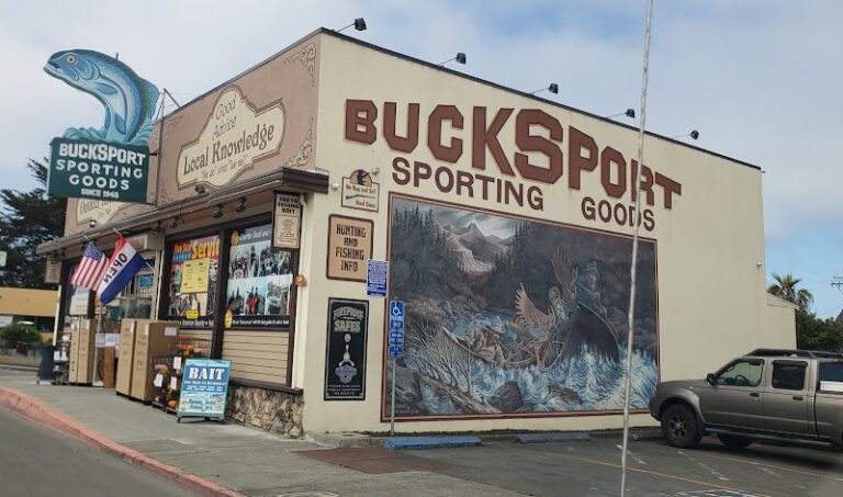 bucksport sporting goods 1 768x453