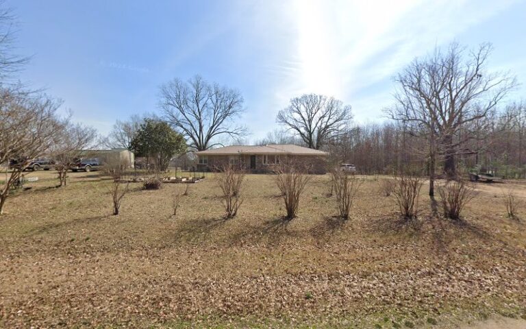 champion custom bow strings 1 768x480