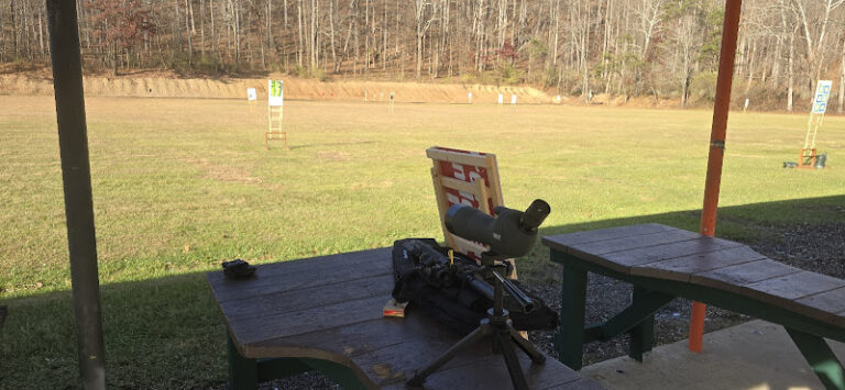 cindys hot shots 1 768x355