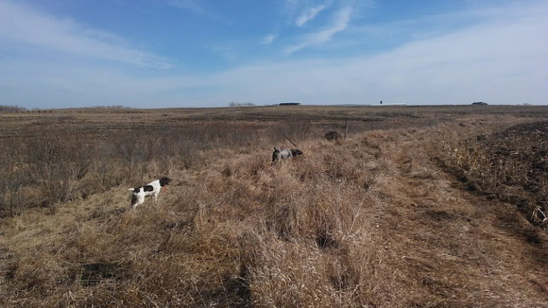 cloverleaf pheasant farms 1 768x432