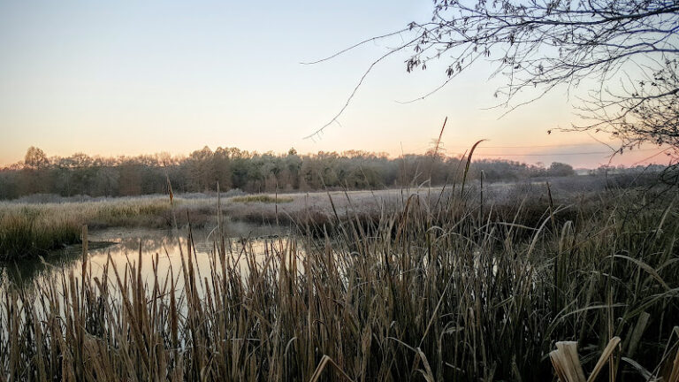 coon creek club 1 768x432