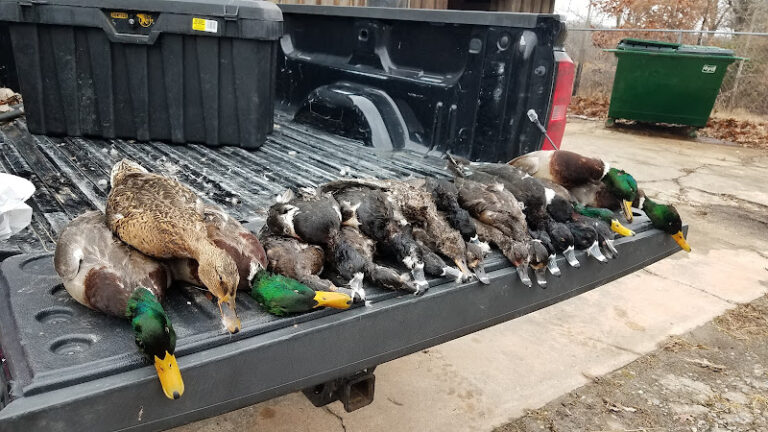 cypress point duck club 1 768x432