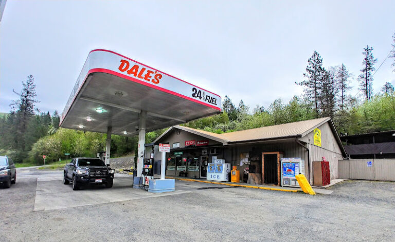 dale jills sporting goods 1 768x470