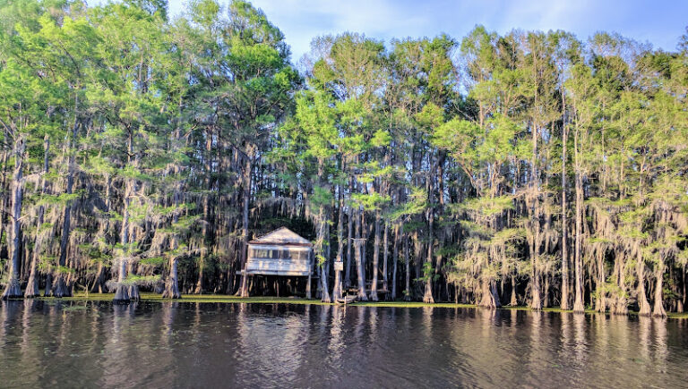 dallas caddo club 2 1 768x435