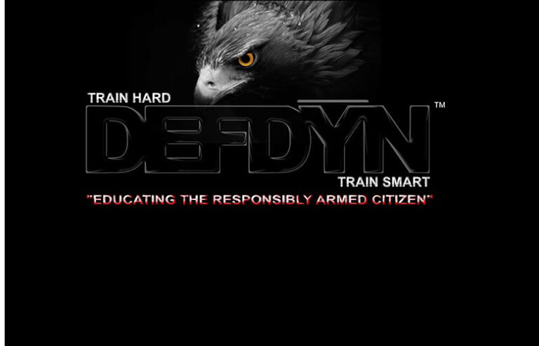 defense dynamics 1 768x493