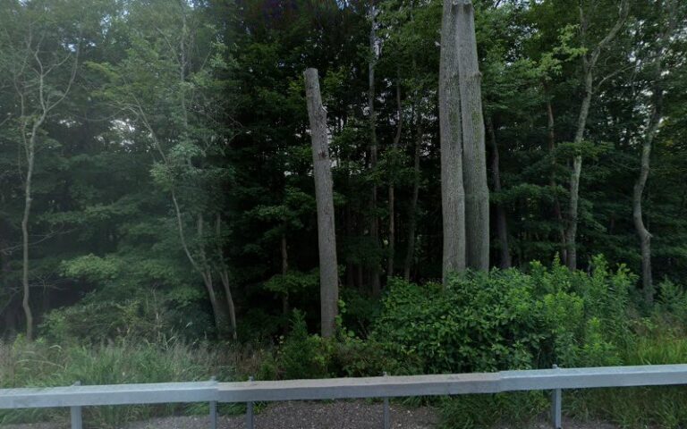 delhi police department training range 1 768x480