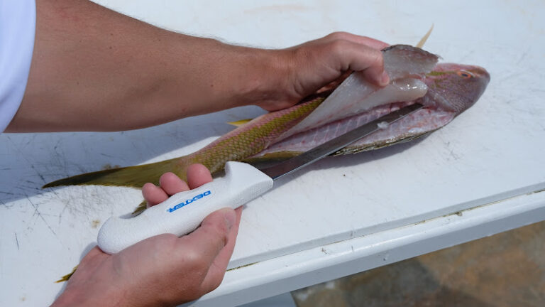 dexter outdoors 1 768x432