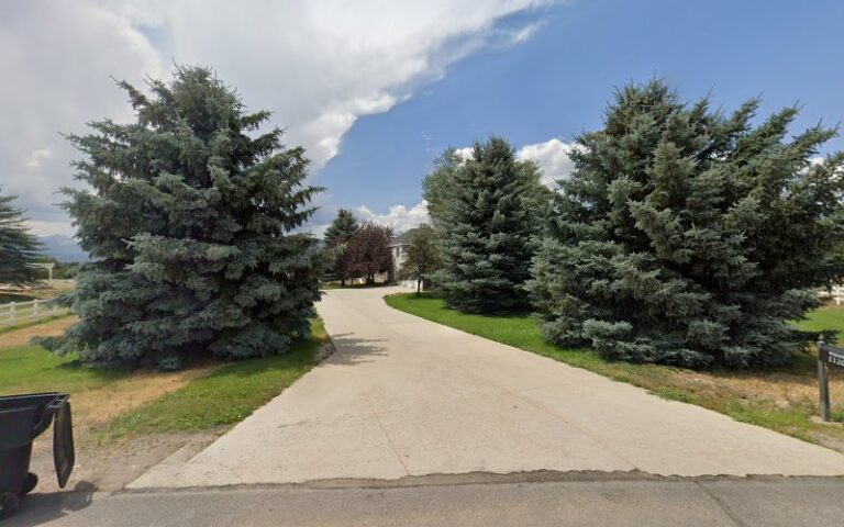 diamond 7 sports 1 768x480