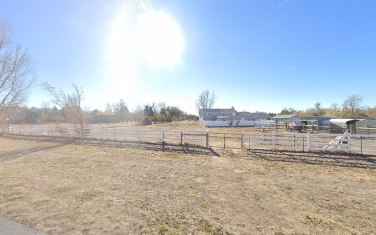 diamond d defense 1 768x480