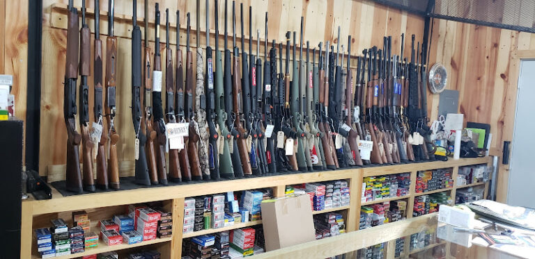 dodson guns 1 768x373