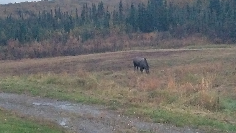 fairbanks trap club 1