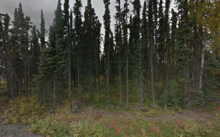 gahms guns gunsmithing and training llc 1 768x480