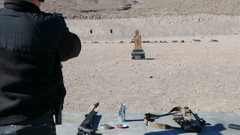 gnat warfare 1 768x432