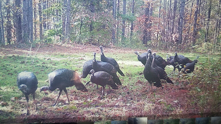 gods country hunting club 1 768x432