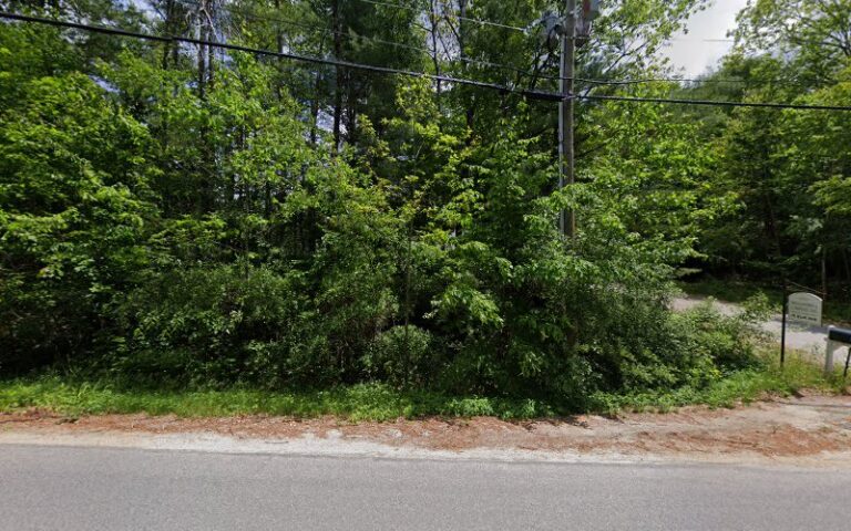 gray fox shop 1 768x480