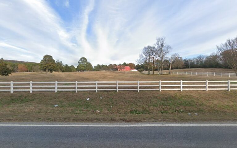 guns n more inc 1 768x480