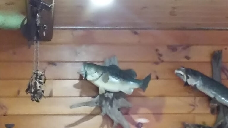 hardwick rod gun club 1 768x432