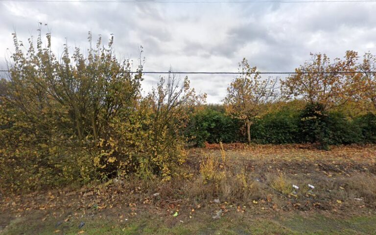 herban hunter decoys 1 768x480