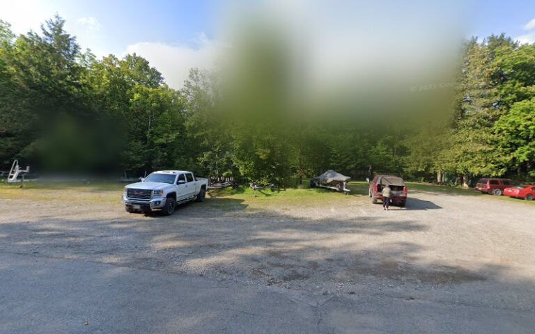 island falls fish game 1 768x480