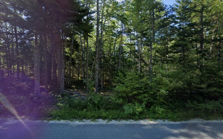 joseph depasquale firearms engraving 1 768x480