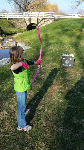 just archery by george 1