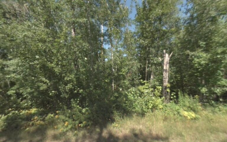 kevon fulton permit to carry 1 768x480