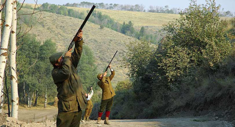 lazy triple creek ranch 1 768x416