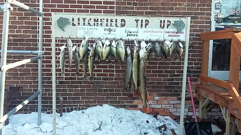 litchfield outdoors 1 768x432