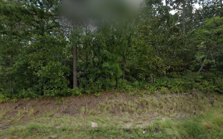 mid carolina rifle club 1 768x480