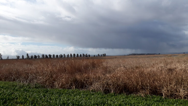 montezuma gun club 1 768x432