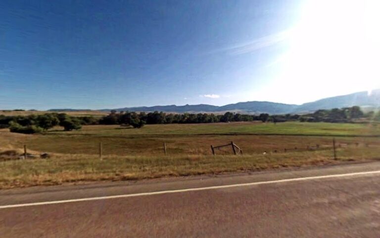 nelson outfitters 1 768x480