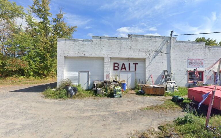 off the beaten path sporting 1 768x480