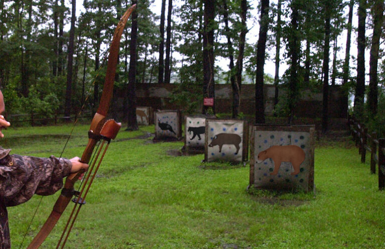 oncore targets 1 768x497