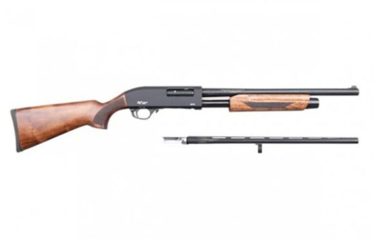 reign firearms 1 768x492