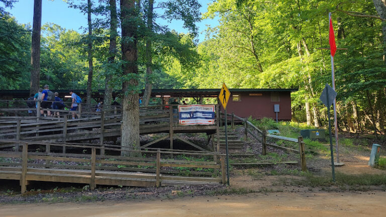 rodney rifle range 1 768x432