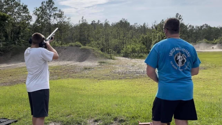 shield wall defense 1 768x432