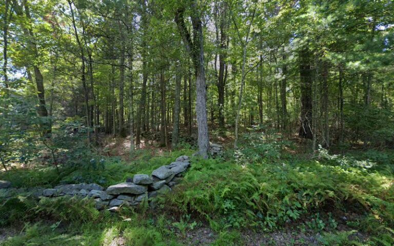 sierra gun dog training and k 9 rehabilitation 1 768x480