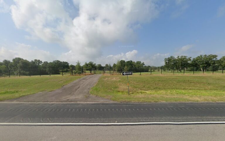 slapmule armament company 1 768x480