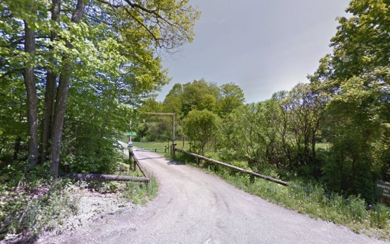 sportsmen inc 1 768x480