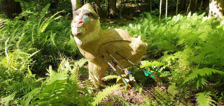 stamford fish and game association 1 768x363