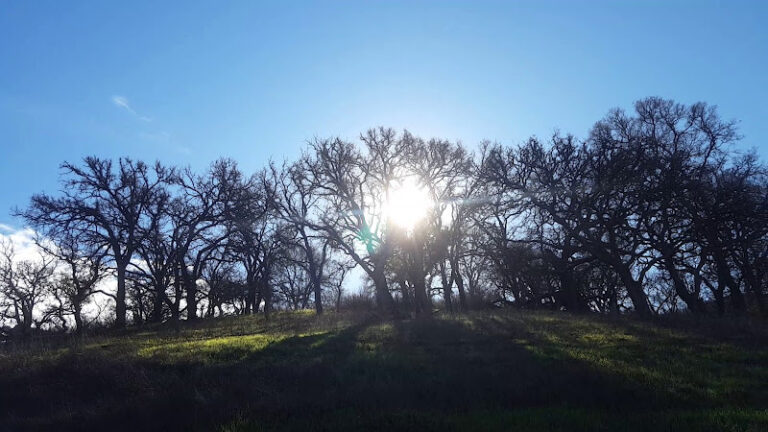 station 13 1 768x432