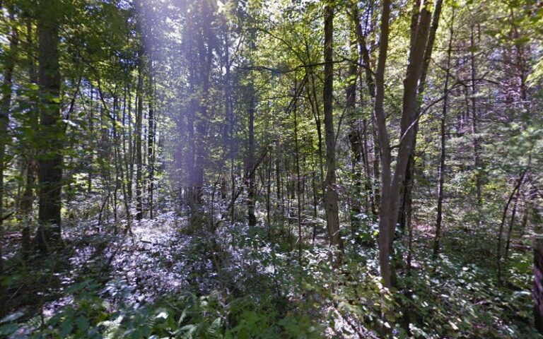 suncook rodgun club range 1 768x480