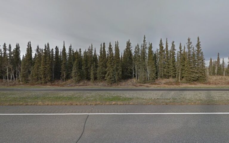 tok gun club 1 768x480