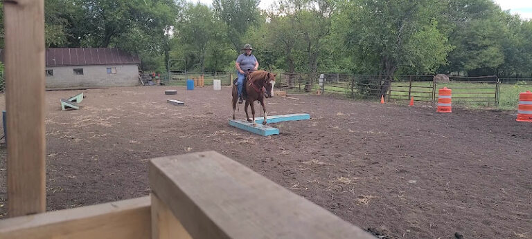 triangle a arena 1 768x346