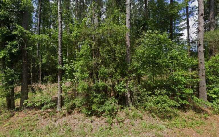 trupoint tactical 1 768x480